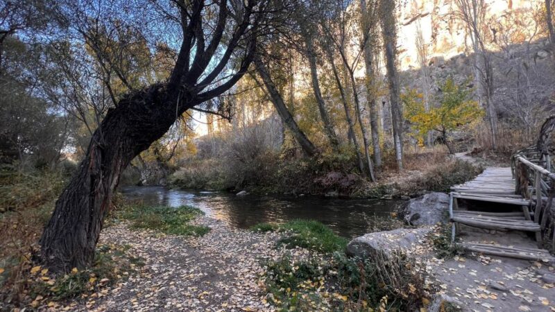 Private Istanbul to Cappadocia Odyssey: A 6-Days Journey - Key Points