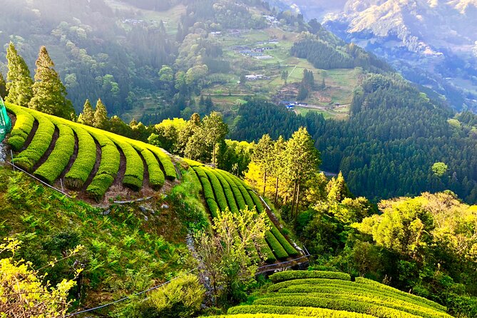 Private Iya Valley Half Day Tour - Additional Information