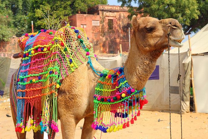 Private Jaipur Region 4 Day Sightseeing Tour - Key Points