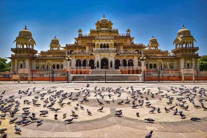 Private Jaipur Sightseeing Tour By Tuk Tuk Rickshaw - Reviews and Customer Feedback
