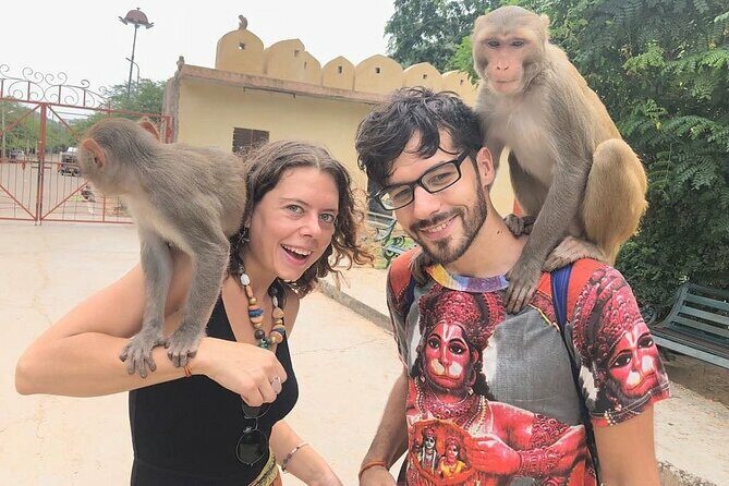 Private Jaipur Tuk-Tuk Tour with Monkey Temple - The Sum Up