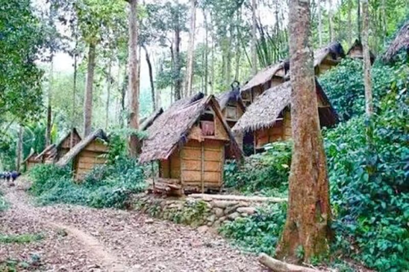 Private Jakarta Tour : Baduy Primitive Village - Key Points