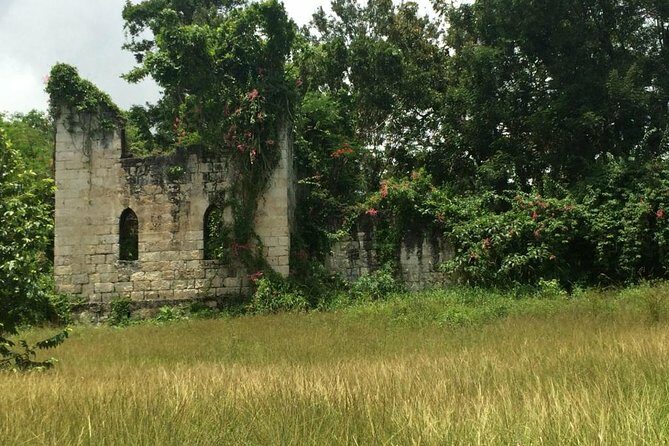 Private Jamaica West Heritage Sightseeing Tour - An Introduction to the Tour