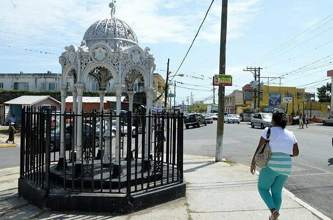 Private Jamaica West Heritage Sightseeing Tour - What You Can Expect from the Experience