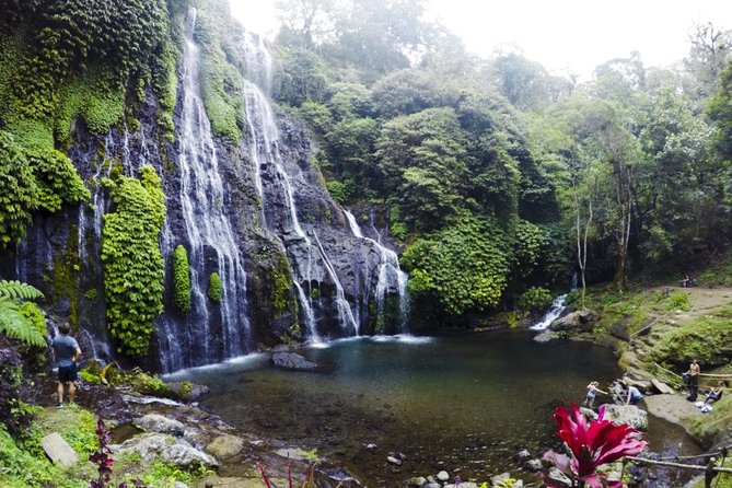 Private Jatiluwih Rice Terraces Heritage Site and Culture Tour - Banyumala Waterfall
