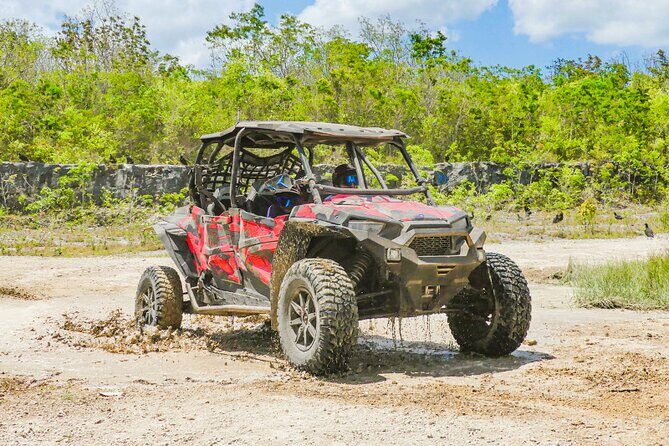 Private Jeep and 4x4 Polaris RZR Tour with Mexican Lunch - A Complete Guide to the Private Jeep and 4x4 Polaris RZR Tour with Mexican Lunch in Cozumel