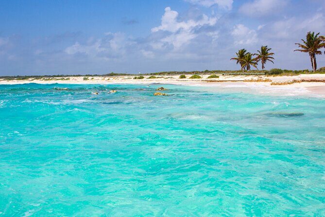 Private Jeep and 4x4 Polaris RZR Tour with Mexican Lunch - Scenic Beach Break at Coco’s Beach Club