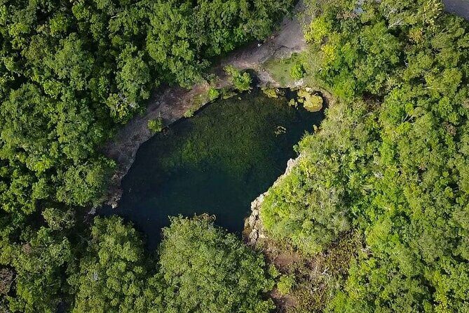 Private Jeep Cenotes Expedition in Cozumel - Key Points