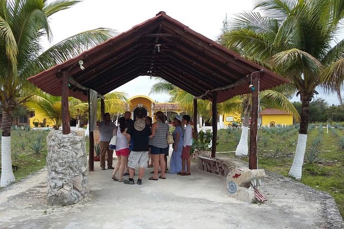 Private Jeep Excursion in Cozumel With Lunch and Snorkeling - Snorkeling and Beach Experiences