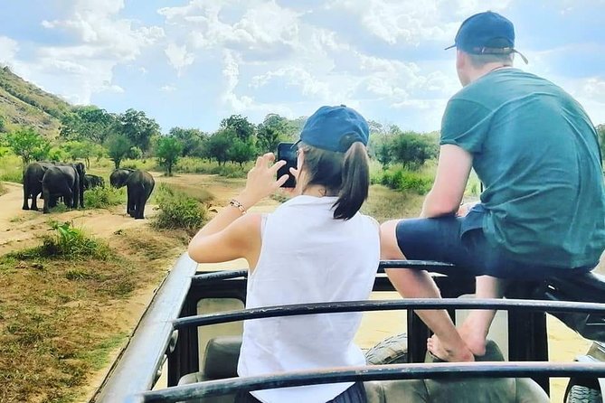 Private Jeep Safari at Minneriya National Park - Wildlife Spotting Opportunities