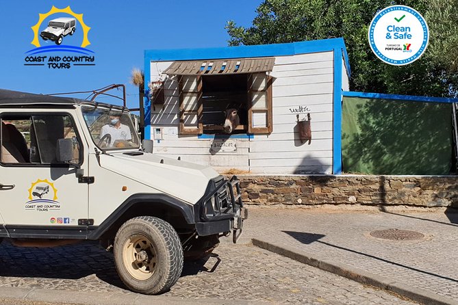 Private Jeep Safari Half-Day Tour - Highlights of the Tour