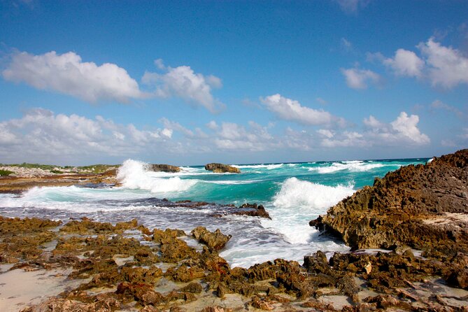 Private Jeep Tour and Punta Sur Park in Cozumel - Meeting and Pickup Details