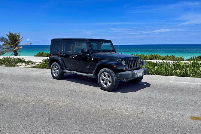 Private Jeep Tour and Punta Sur Park in Cozumel - Accessibility and Participation