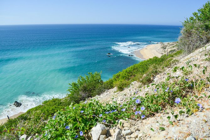 Private Jeep Tour Cabo Pulmo - Important Information