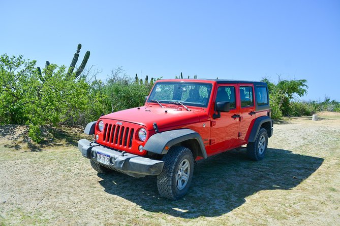 Private Jeep Tour Cabo Pulmo - Reviews and Feedback