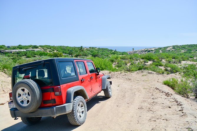 Private Jeep Tour Cabo Pulmo - Scenic Jeep Adventure
