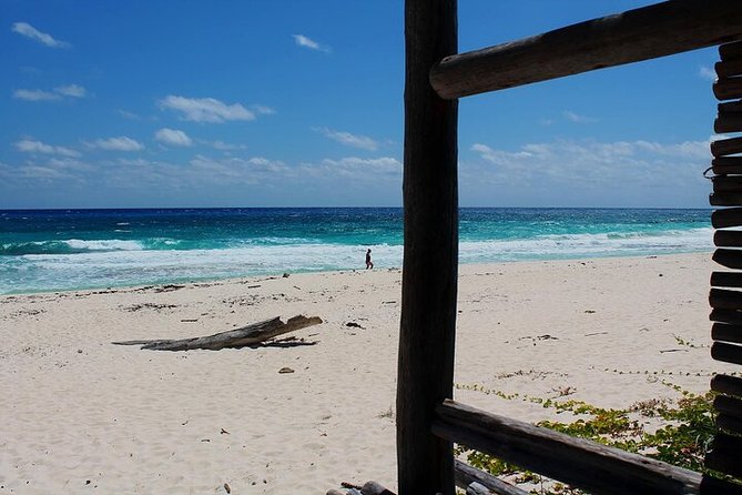 Private Jeep Tour in Cozumel - Traveler Reviews and Experiences