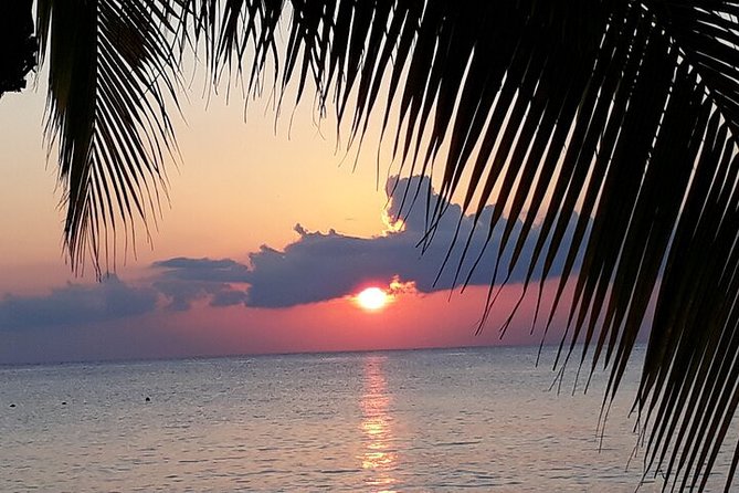 Private Jeep Tour in Cozumel - Highlights of the Tour