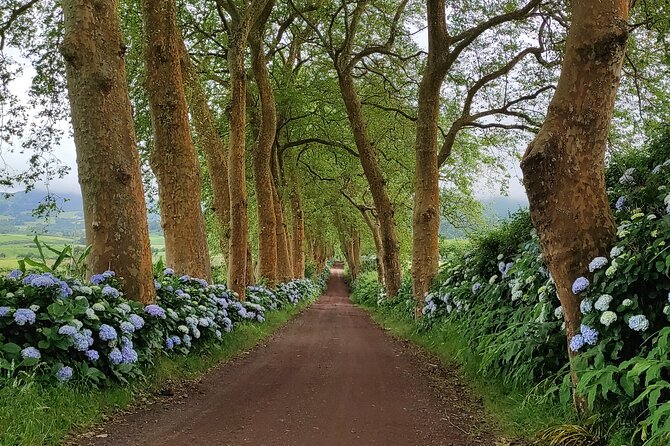 Private Jeep Tour in São Miguel Island - Tour Details and Inclusions
