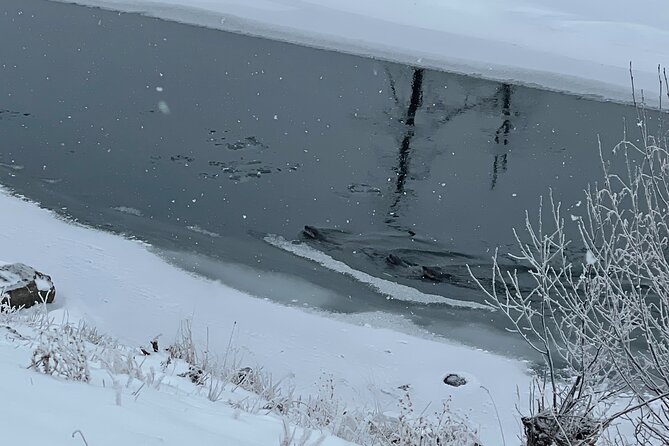Private Jeep Tour of Yellowstone's Winter Wonderland - Knowledgeable and Engaging Tour Guide