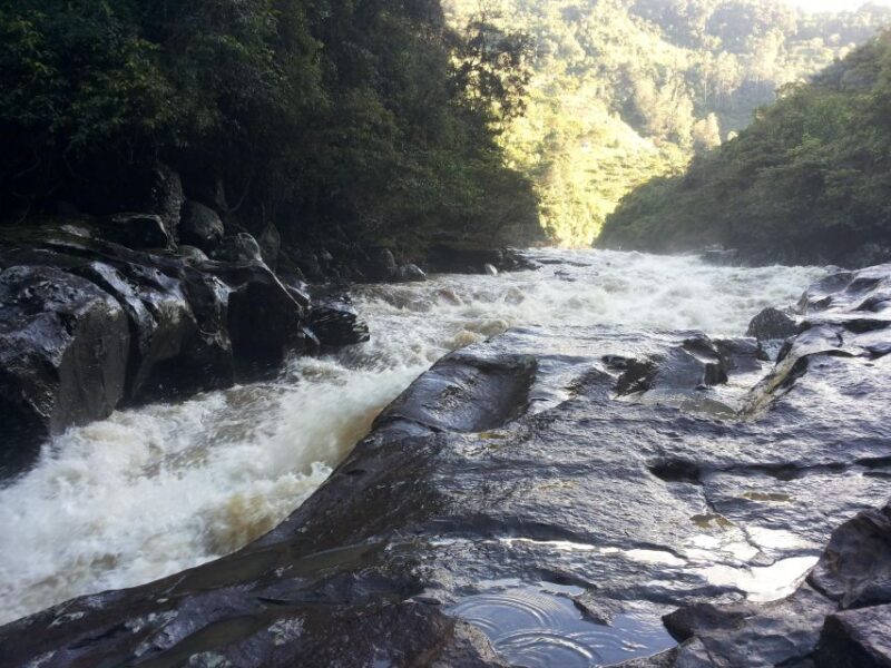 Private Jeep Tour to the Surroundings of San Agustín - Itinerary and Highlights