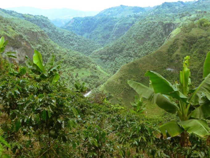 Private Jeep Tour to the Surroundings of San Agustín - Recap