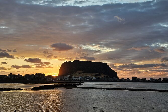 Private Jeju Geopark Gotjawal and Oreum Trekking Experience - Trekking Through Osulloc Green Tea Fields