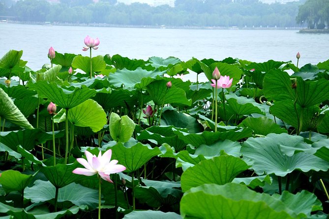 Private Jinan City Tour Including Baotu Spring Park, Daming Lake and More - Key Points
