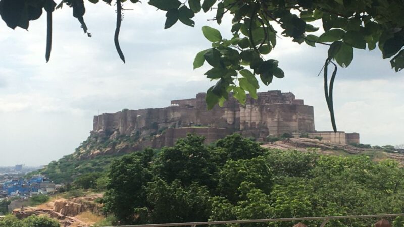 Private Jodhpur Half Day Sightseeing Tour Driver and Car - Jaswant Thada