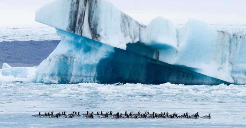 Private Jökulsárlón Glacier Lagoon Tour - Itinerary Highlights