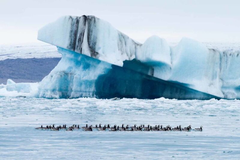 Private Jökulsárlón Glacier Lagoon Tour - Tour Features
