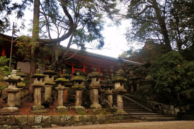 Private Journey in Nara's Historical Wonder - Exploring Naras Landmarks