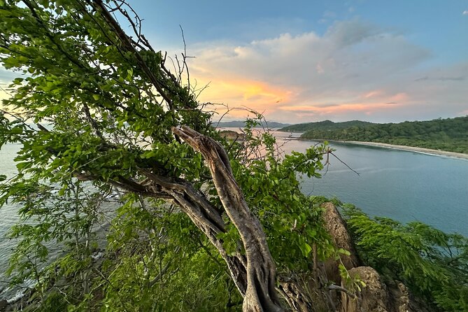 Private Jungle Beach ATV Tour Guided By Kenneth - Important Booking and Accessibility Information