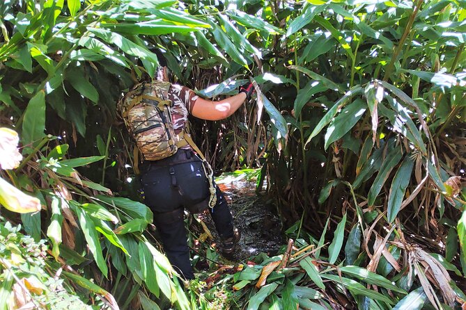 Private Jungle Waterfall Adventure, Wit Da Native Hawaiian Dundee - Customized Route and Interests