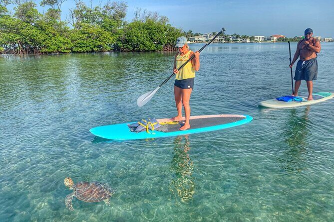 Private Jupiter Island Guided Paddle Boarding Tour - Who Should Consider This Tour?