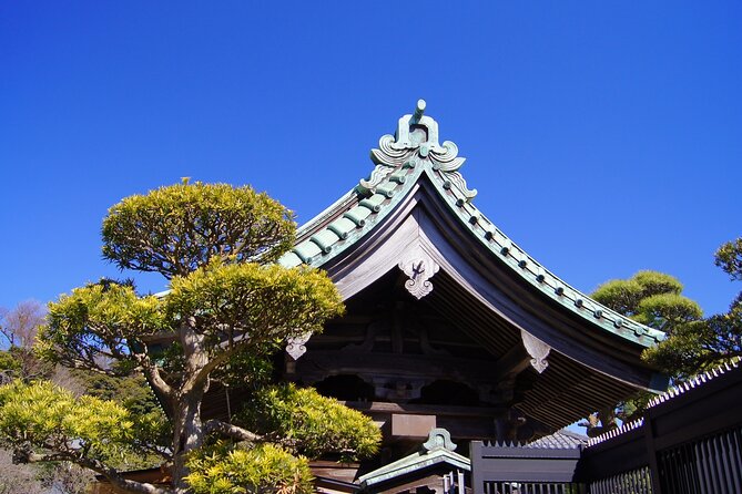 Private Kamakura and Enoshima Day Tour From Tokyo - What to Expect