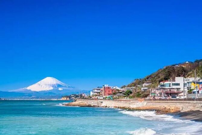 Private Kamakura and Yokohama Sightseeing Day Trip With Guide - Accessibility Options