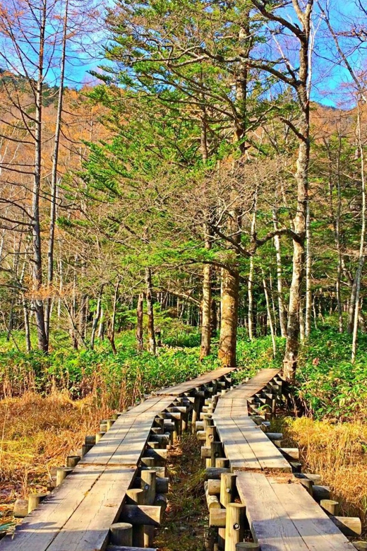 Private Kamikochi & Matsumoto Tour: From Nagano/Matsumoto - Transportation Arrangements