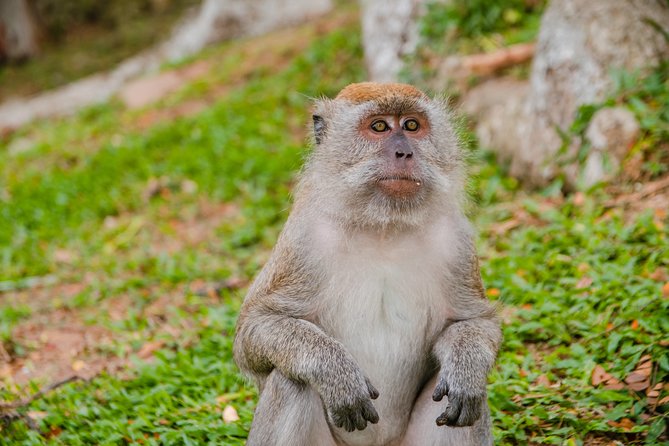 Private Kanching Waterfalls With Batu Caves & Ramayana Caves Tour - Pricing and Cancellation Policy