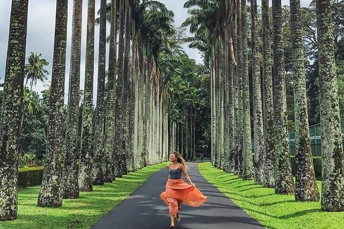 Private Kandy Day Tour From Colombo - Inclusions and Transportation