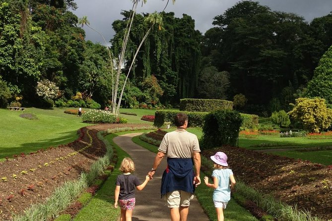 Private Kandy Day Tour From Colombo - Included in the Tour Package