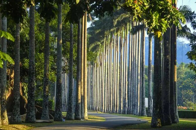 Private Kandy Day Tour From Negombo - Tour Guidelines and Recommendations