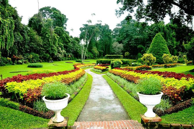 Private Kandy Day Tour From Negombo - Customer Reviews and Feedback