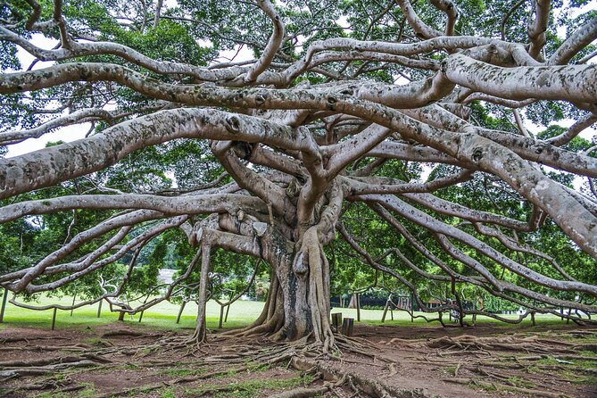 Private Kandy Day Tour From Negombo - Tour Itinerary and Attractions