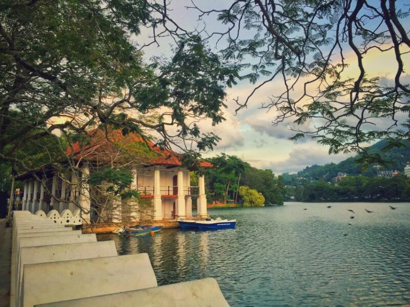 Private Kandy Pinnawala Day Tour From Bentota - Itinerary Highlights