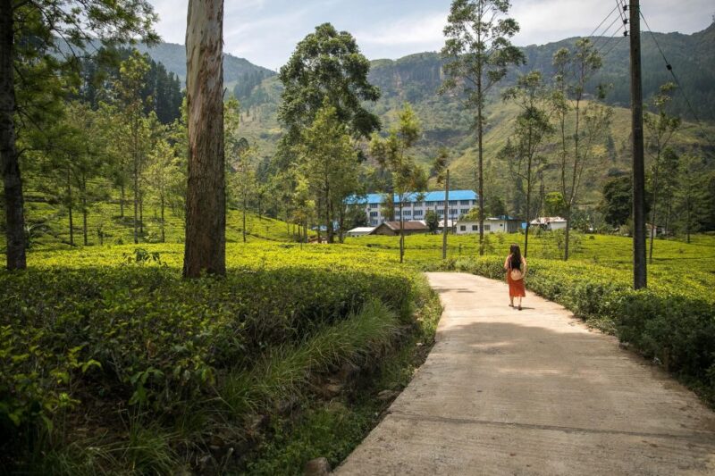 Private Kandy Pinnawala Day Tour From Bentota - Exclusions