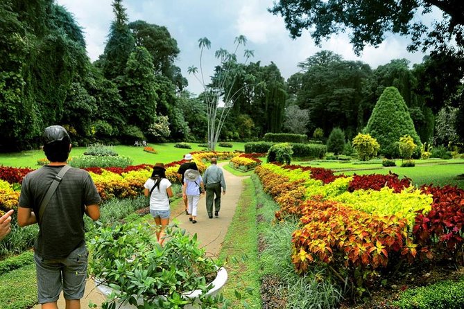 Private Kandy Tour by Air-Conditioned Car: Do It All in One Day - Royal Botanical Gardens