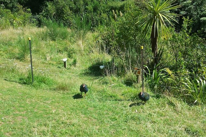 Private Kapiti Coast Full Day Tour - Highlights of the Kapiti Coast