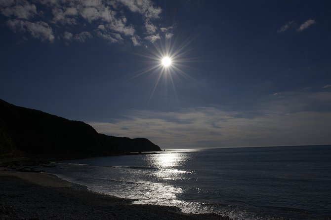 Private Kapiti Coast Full Day Tour - Customer Reviews and Ratings