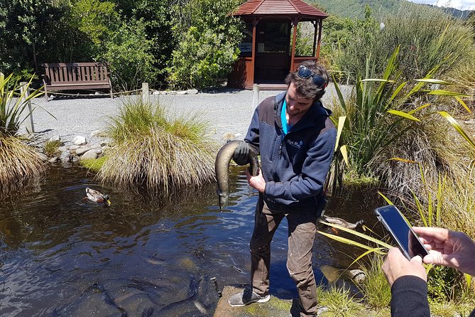 Private Kapiti Coast Full Day Tour - Customizable Itinerary